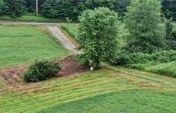 Hilltop Drive NW, Strasburg, OH 44680