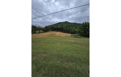 414 Kyle Valley Road, Eidson, TN 37731