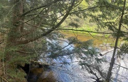 120 Ross Creek County Road 450, Seney, MI 49883