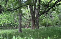 Hwy 80, Luling, TX 78648