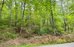 3.85 Ac Old Aska Road S, Blue Ridge, GA 30513