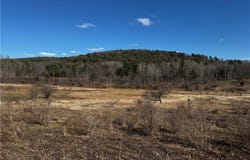 0 County Road 4, Butternuts, NY 13825