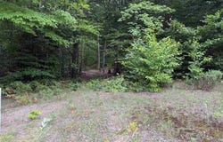 0000 S Bridle Trail, Empire, MI 49630