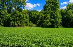 8539 CAMPGROUND Rd, Drummonds, TN 38023