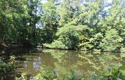 Lot A Camp Creek Drive, Lancaster, SC 29720