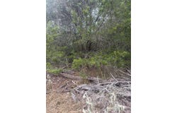 223 Mokulua Ln, Bastrop, TX 78602