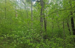 Lot 3 Buckeye Lane, Stone Lake, WI 54876