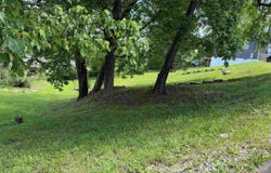 S Second Street, Belington, WV 26250