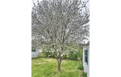 23 Joe Lane, Wurtsboro, NY 12790