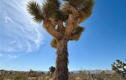 0 Sun Mesa, Yucca Valley, CA 92284