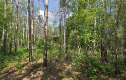 Krattley Lane N, North Hudson, WI 54016