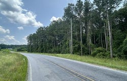 Parcel 2 George Boutwell Rd., Ovett, MS 39464