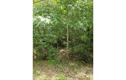 3521 Esther Drive, Durham, NC 27703
