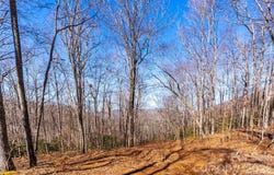 1248 Arborcrest Way, Swannanoa, NC 28778