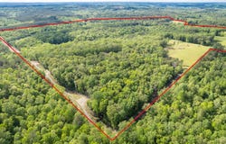 4203 County Road 25, Double Springs, AL 35553