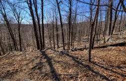 68 Magee Rd, Ringwood Boro, NJ 07456