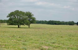 370 CR 240, Goldthwaite, TX 76844