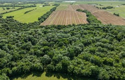 4085 S FM 196, Blossom, TX 75416