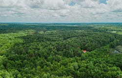 2963 Buttermilk Rd., St. Charles, KY 42453