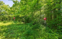 6954 Robinson Drive, Chattanooga, TN 37421