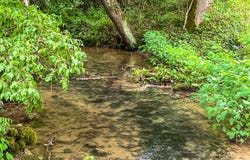 0 Rheatown Road, Chuckey, TN 37641