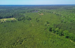 271 Shadeville Road, Wiggins, MS 39577