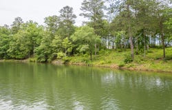 LOT 49 SHORESIDE AT SIPSEY, Double Springs, AL 35553
