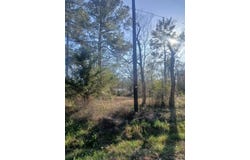 45698 MAPLE, Huntington, TX 75949