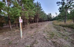 TBD Woods Rd, Leesville, LA 71446