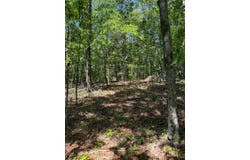00 County Road 83, McCarley, MS 38943
