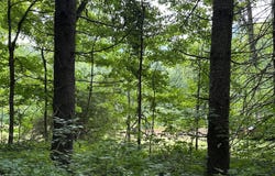 410 Nettleton Hollow Road, Washington, CT 06793