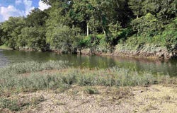 89 Riverfront Drive, Pencil Bluff, AR 71965