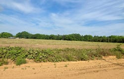 0 H Merritt Road - Parcel D, Slocomb, AL 36375