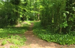 44 Lake Latimer Drive, Kennesaw, GA 30144