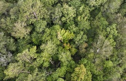 1 Red Rock Road, Robeline, LA 71469