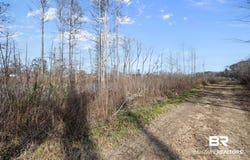 Bryants Landing Road, Stockton, AL 36579