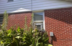 2023 Carroll Street, Grenada, MS 38901