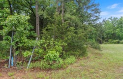 0 Beene Road, Greenbrier, AR 72058