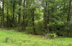 LOTS Railroad Avenue, Wakefield, VA 23888