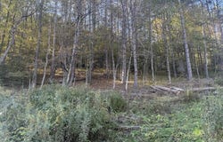 Loucks Road, Galeton, PA 16922