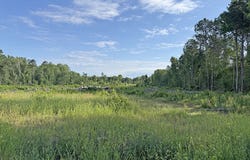 McCall's Millpond Rd, Bennettsville, SC 29512