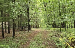 vl Lehring Rd, Burns, MI 48429
