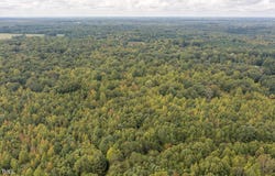 Tbd Mill Creek Road, Cedar Grove, NC 27231