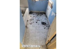 3709 Haverhill Street, Detroit, MI 48224