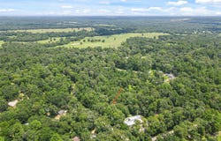 Fisher Ln Loop, Willis, TX 77378