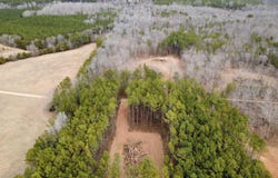 493 Acker Road, Donalds, SC 29638