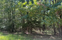 390 PR 5200, Ratcliff, TX 75858