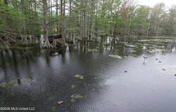 Shaw Road, Sledge, MS 38670