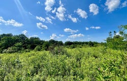 9755 FB Eye Rd, Blue Rock, OH 43720