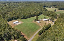 561 DEER TRAIL ROAD, DAVISTON, AL 36256